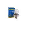 arówka 12V 45 40W P45