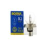 arówka 24V 55 50W P45