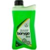 borygo 1l